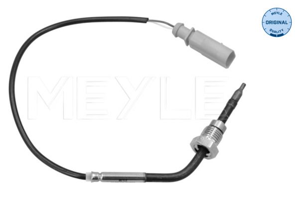 Sensor, Abgastemperatur