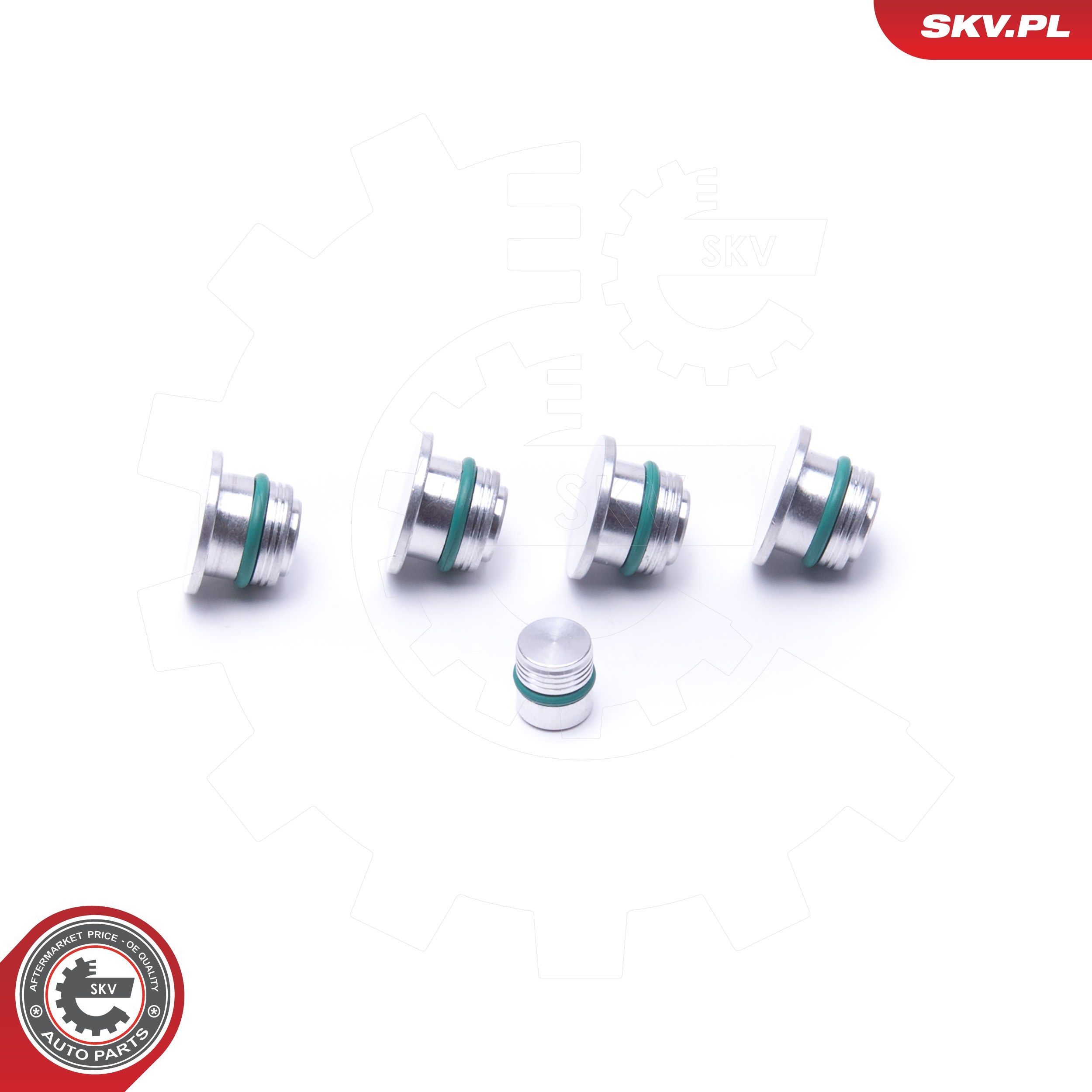 ESEN SKV 49SKV530 - Reparatursatz, Saugrohrmodul