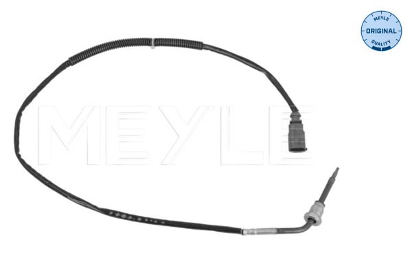 Sensor, Abgastemperatur