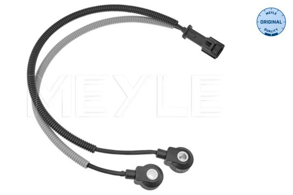 Klopfsensor