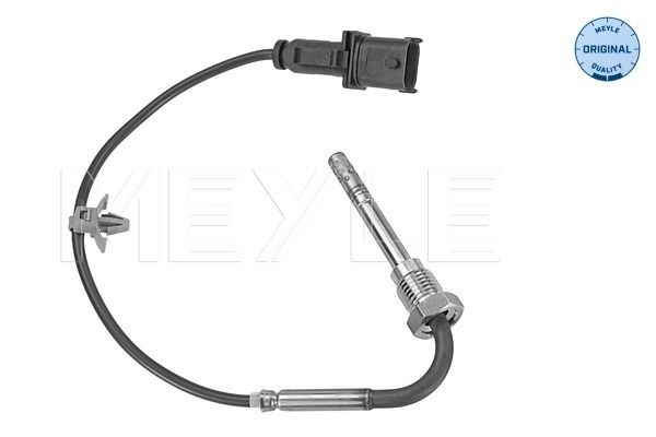 Sensor, Abgastemperatur