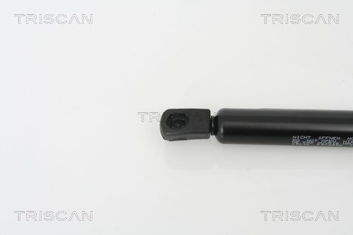 871025232_2.JPG