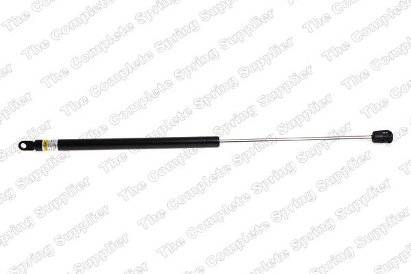 Gasfeder, Koffer-/Laderaum