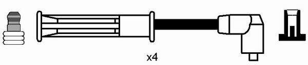 MS619.JPG