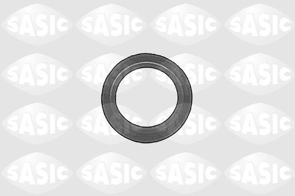 Shaft Seal, differential 1213093