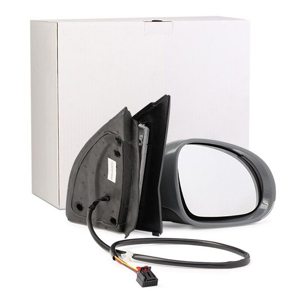 RIDEX 50O0169 Exterior Mirror