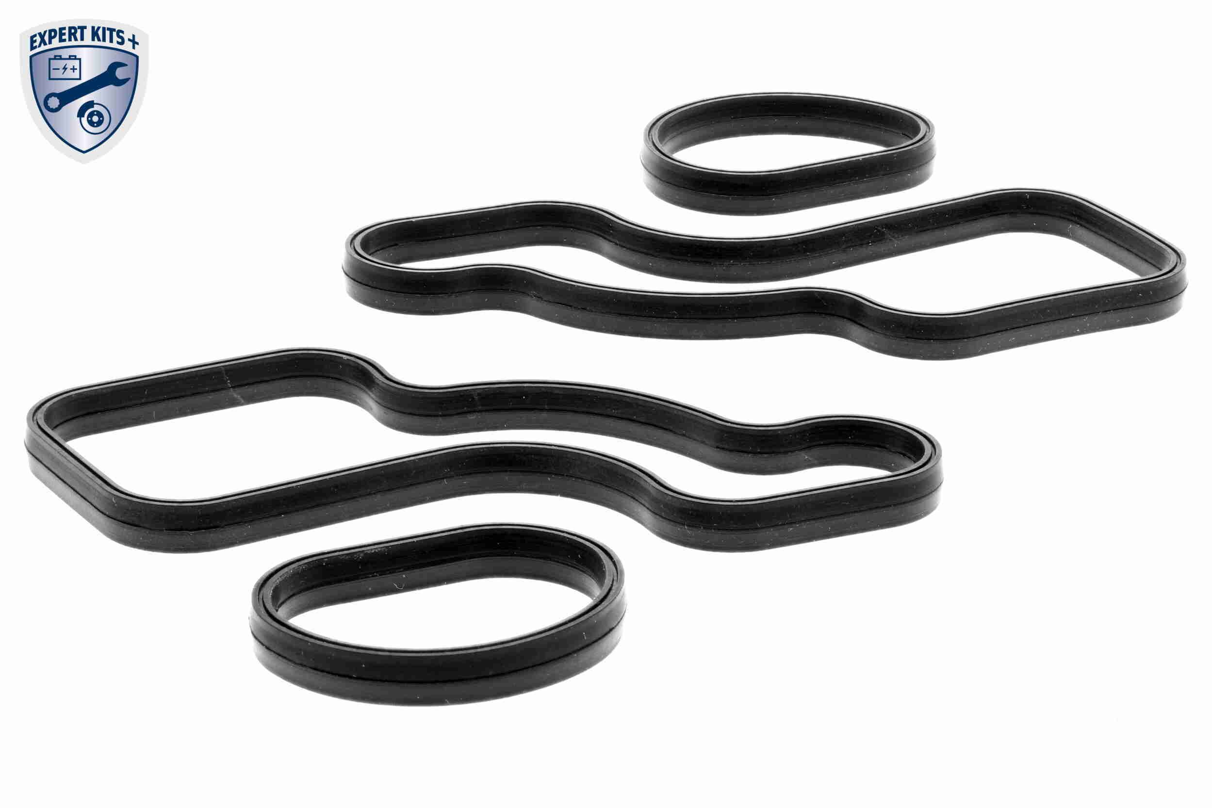 &Ouml;lk&uuml;hler, Motor&ouml;l