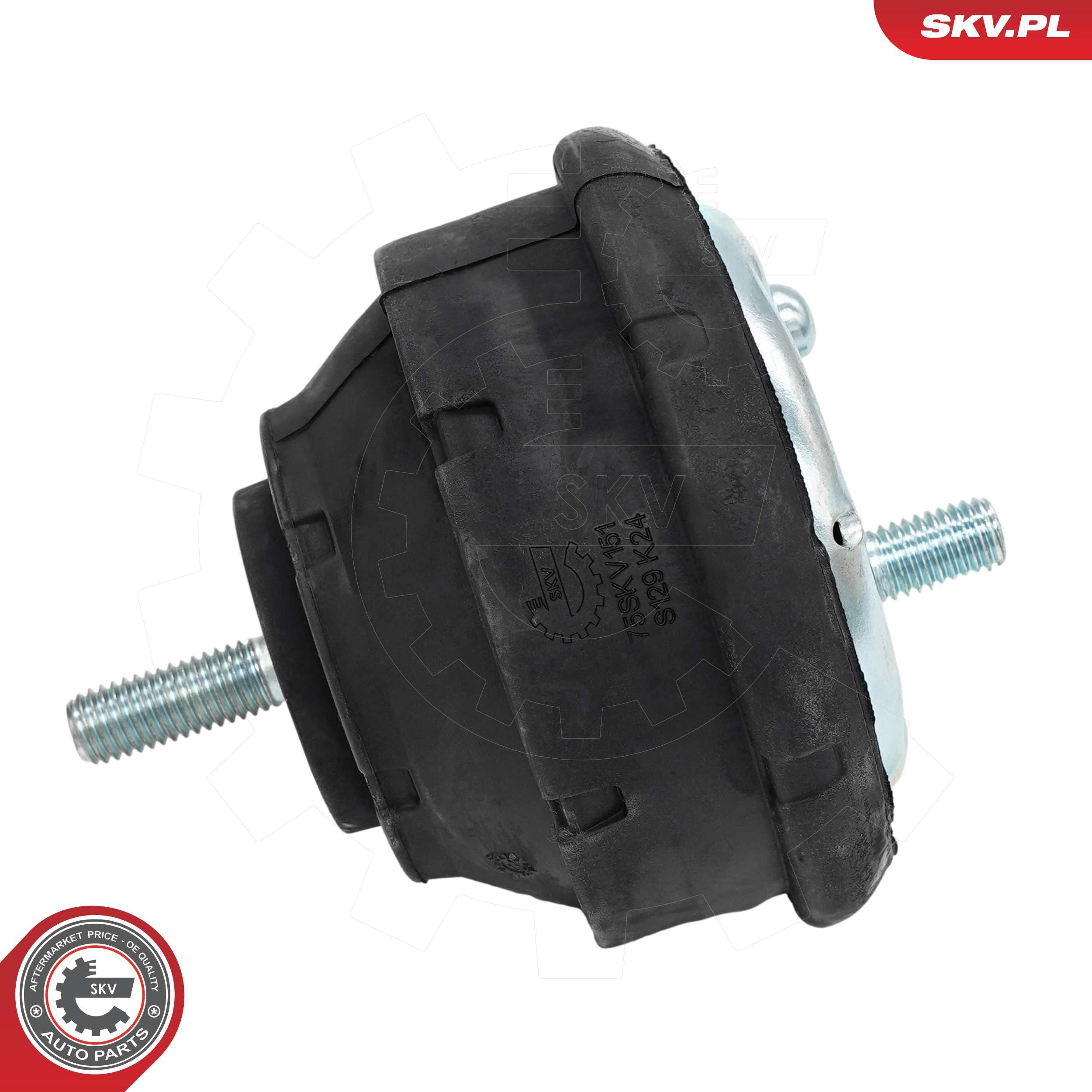 ESEN SKV 75SKV151 - Lagerung, Motor