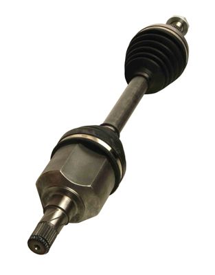 27-3219MG_2_LARGE.JPG