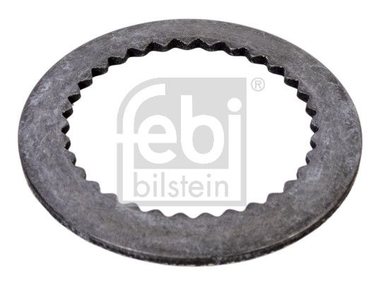 Federstift