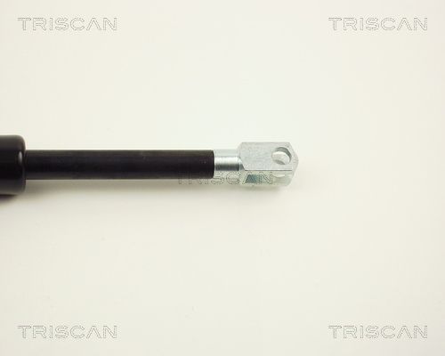 Triscan 8710 2312 Gasfeder, Koffer-/Laderaum