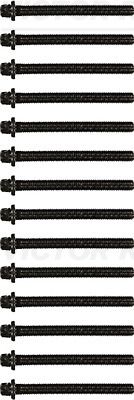 VICTOR REINZ 14-32002-02 Cylinder Head Bolt Set