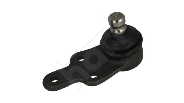 Šarnyras / girgždukas