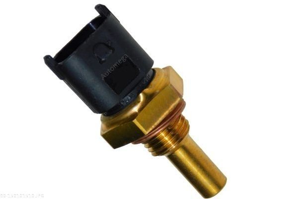 Sensor, Kühlmitteltemperatur