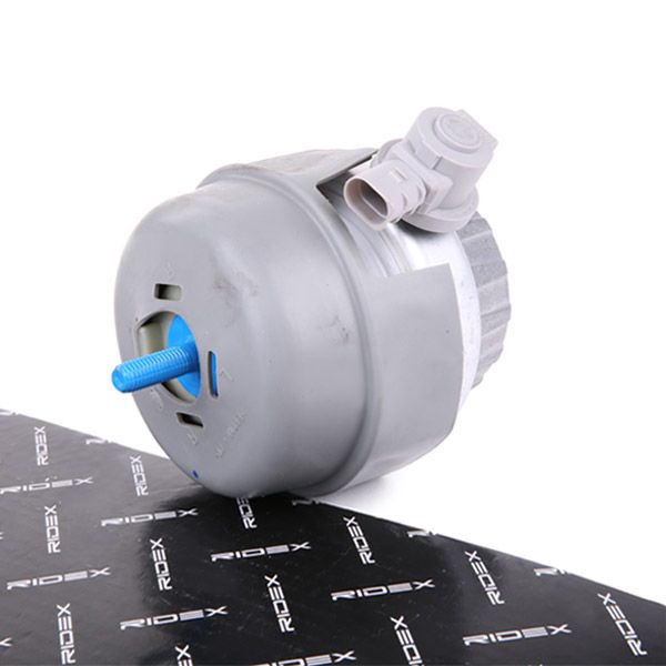 247E0300 RIDEX felfüggesztés, motor