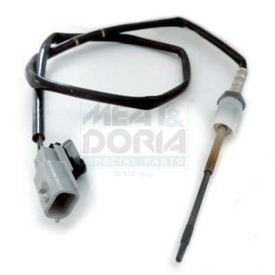 Sensor, Abgastemperatur Sensor, Abgastemperatur