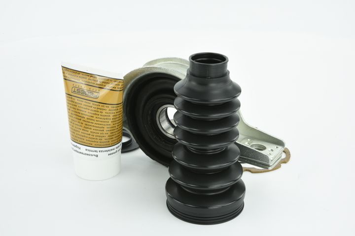 guolis, kardaninio veleno centrinis guolis