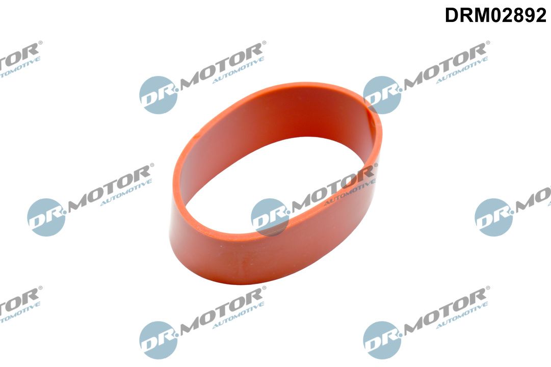 Dr.Motor Automotive DRM02892 Dichtring, Ladeluftschlauch
