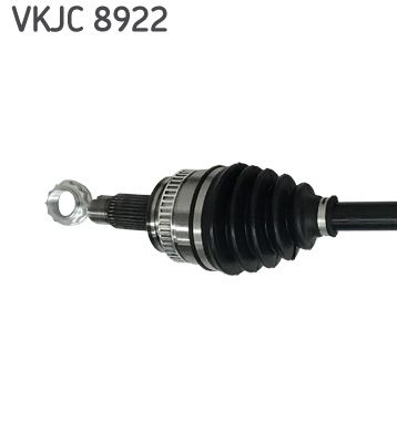 VKJC 8922_2.JPG