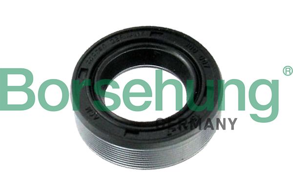 Borsehung B17837 - Wellendichtring, Differential