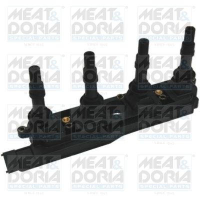 Ignition Coil 10398