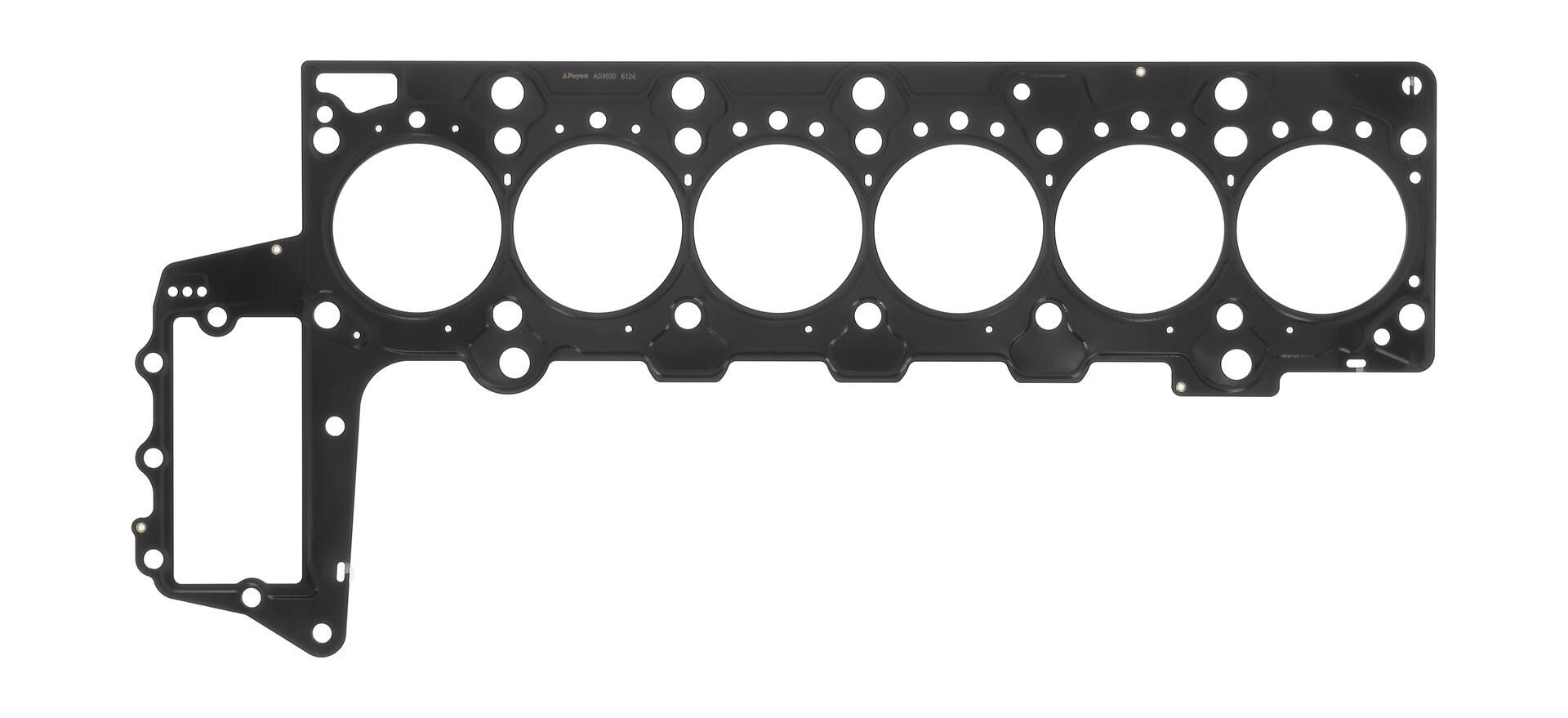 PAYEN AG9020 - Dichtung, Zylinderkopf