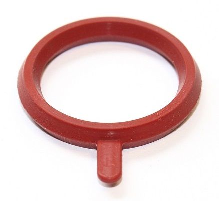 Dichtring