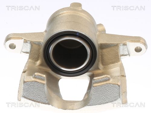 8175 10130 TRISCAN féknyereg