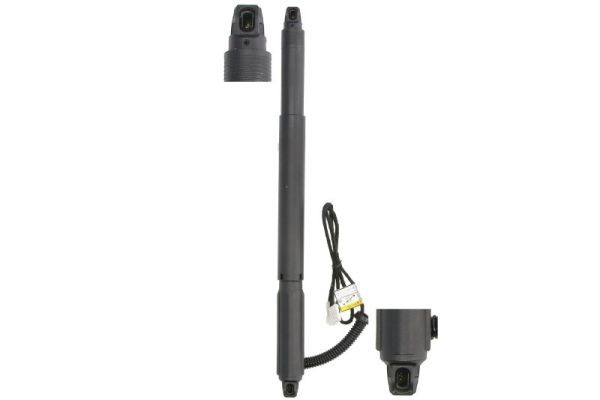 Magnum Technology MGS3125MT - Gasfeder, Einlegeboden (Koffer-/Laderaum)