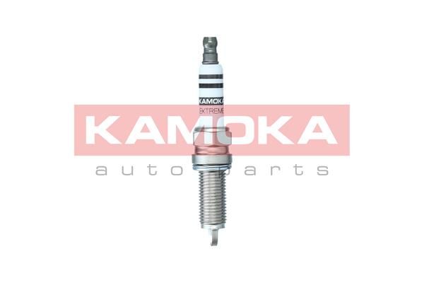 Spark Plug 7090562