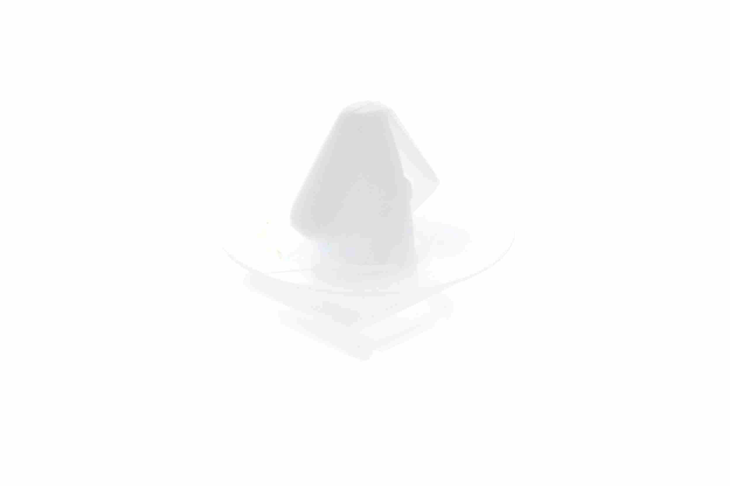 Halteclip, Türverkleidung Halteclip, Türverkleidung