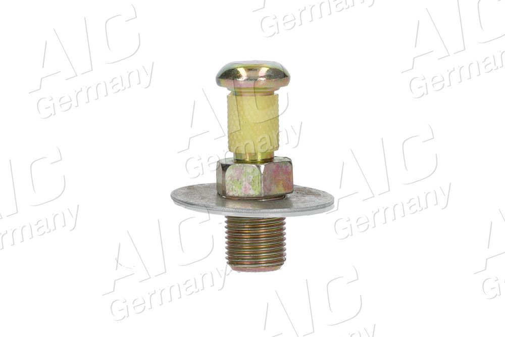 AIC 50551 - Schlie&szlig;dorn, T&uuml;rschloss