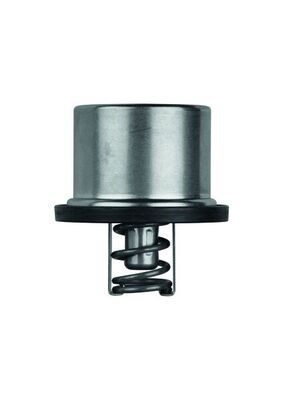 Thermostat, K&uuml;hlmittel
