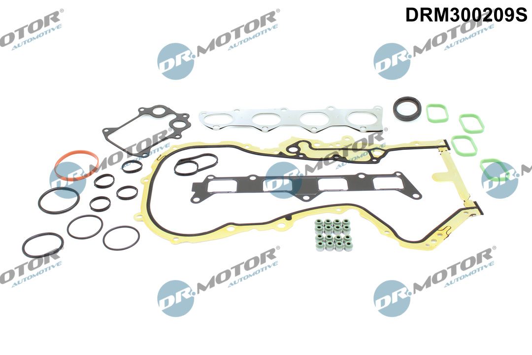 Dr.Motor Automotive DRM300209S - Dichtungssatz, Zylinderkopf