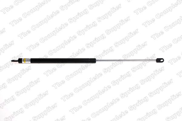 Gasfeder, Koffer-/Laderaum