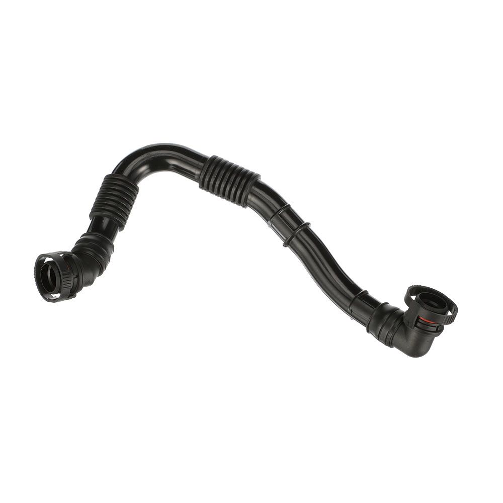 žarna, karterio alsuoklis