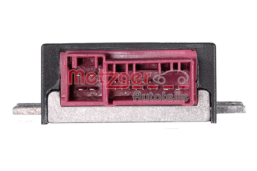 Steuerger&auml;t, Kraftstoffpumpe