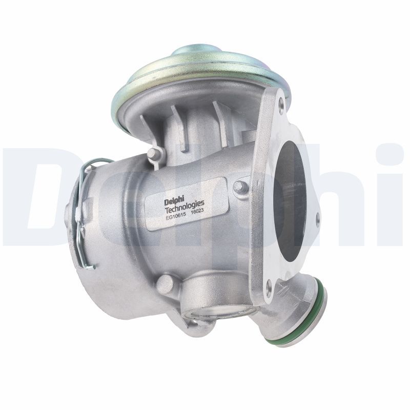 DELPHI EG10615-12B1 - AGR-Ventil