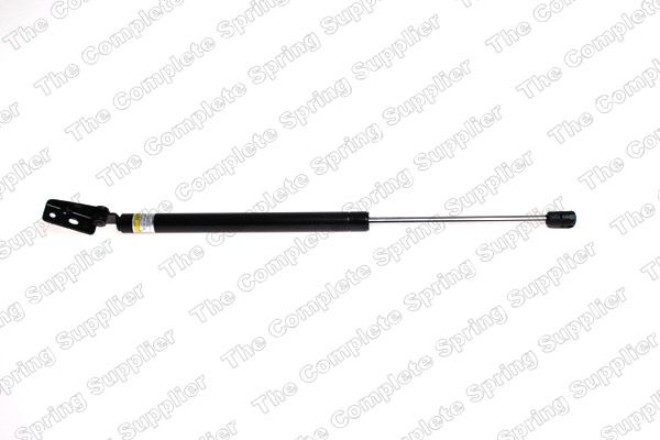 Gasfeder, Koffer-/Laderaum