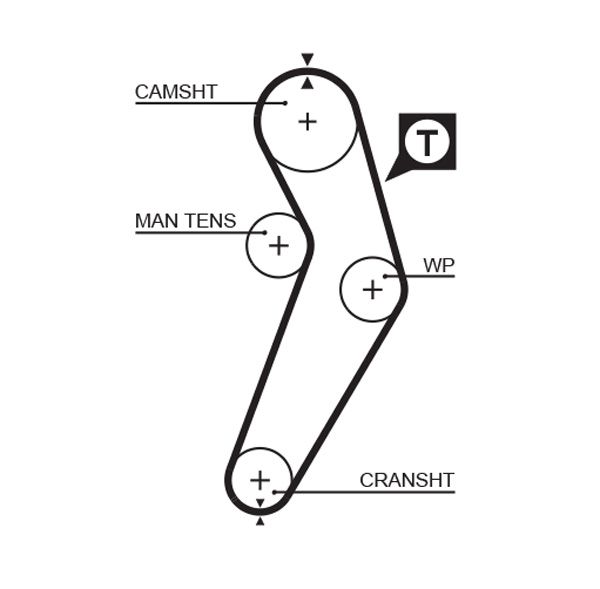 Timing Belt 5473XS