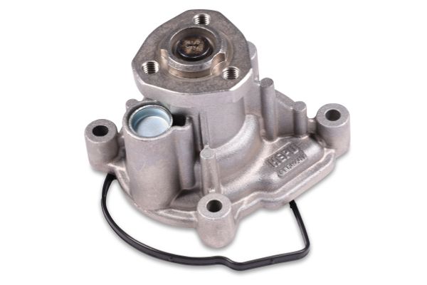 Water Pump, engine cooling P581