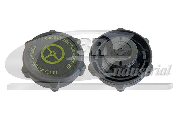 3RG 81318 - Dichtring, Verschlussstopfen-Servopumpe