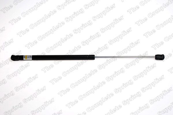 Gasfeder, Koffer-/Laderaum