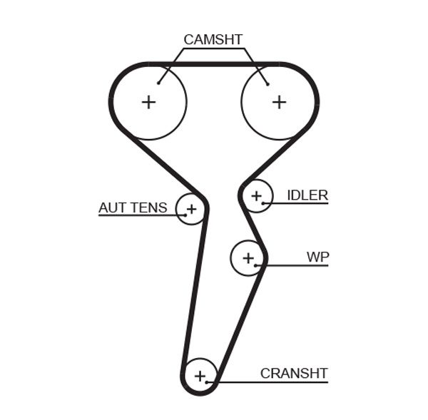 Timing Belt 5671XS