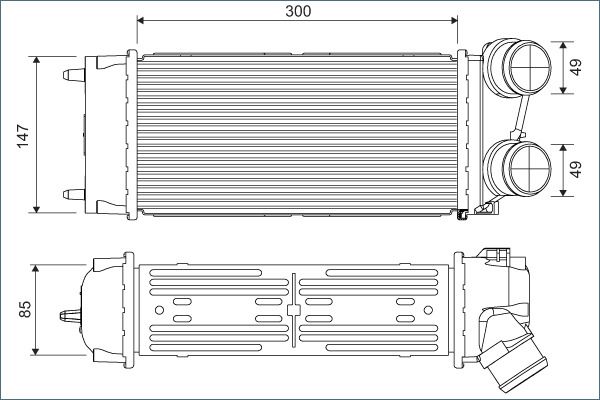 RAS PSA 307-C4 1,6 HDI  9900