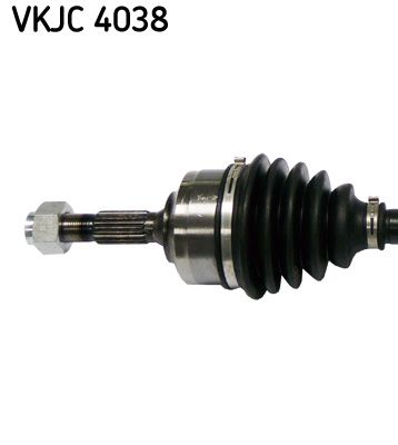 VKJC 4038_2.JPG