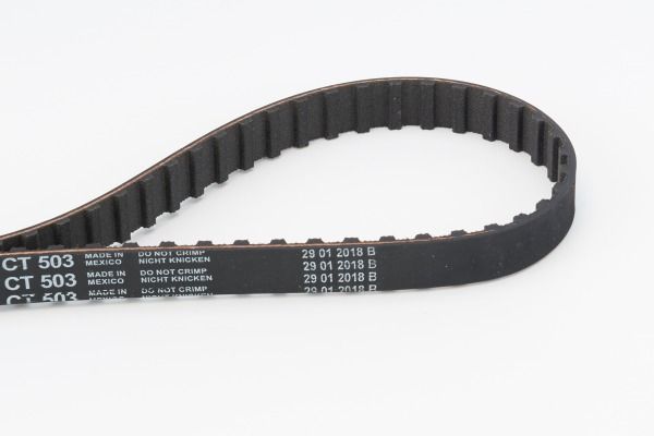 BELTPIC_CT503.JPG