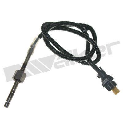Sensor, de temperatura de gas de escape