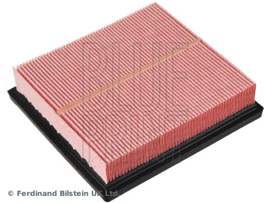 ADBP220027_2.JPG