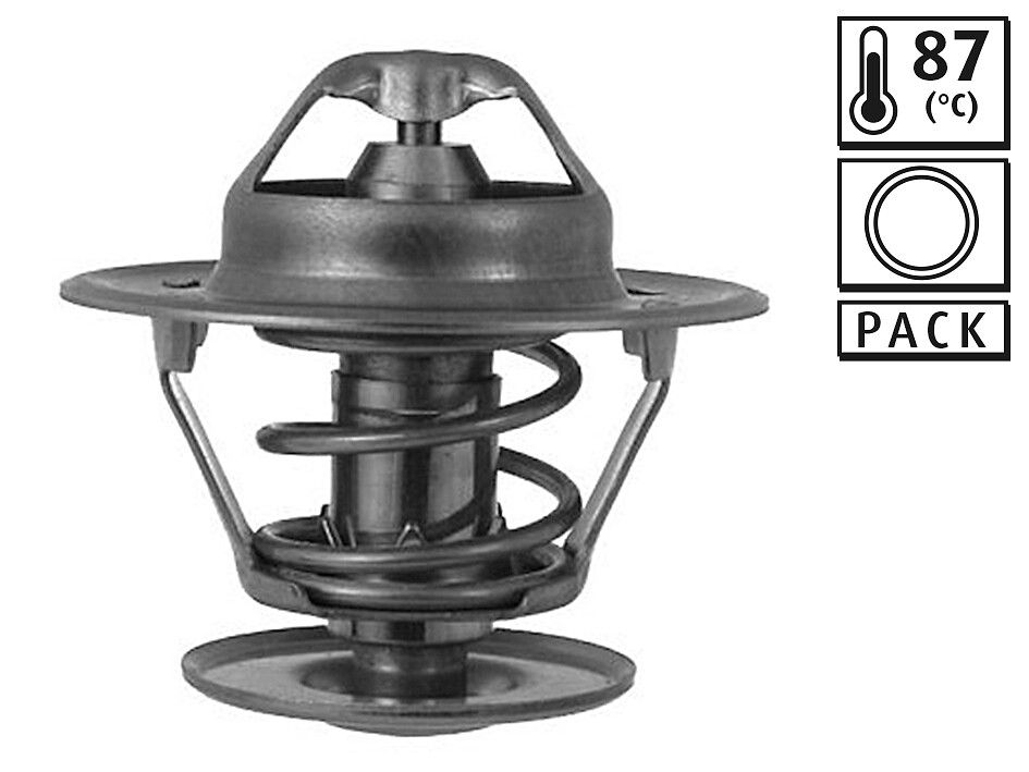 Thermostat, Kühlmittel